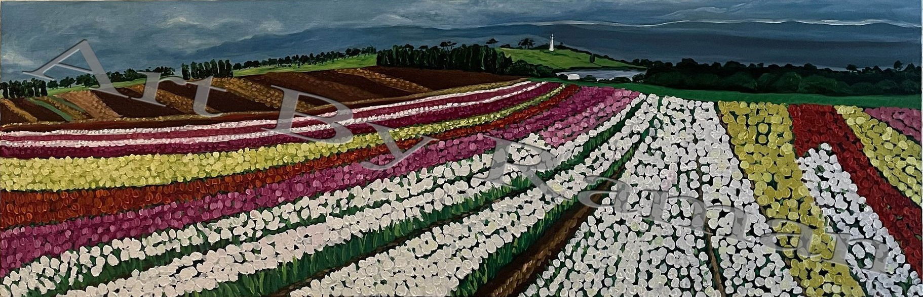 Tulip farm