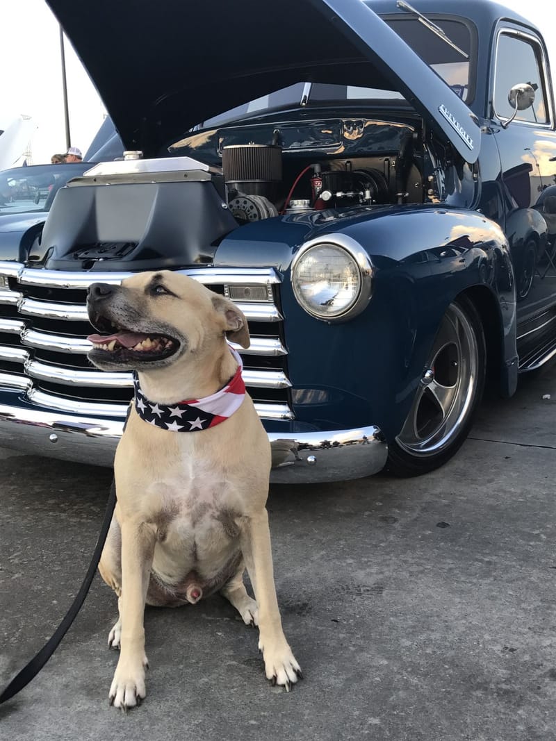 More Work by Creative Classics & Customs