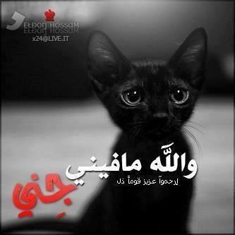 من مسيح ملك منتصر الى مسيح مجرم مصلوب ؟ ماذا حدث؟ههههه دليل التخبيص والكذب في الكتاب المكدس هههه