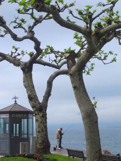 "Is this the way I'm going to leave this world...?"