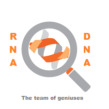 The team of geniuses