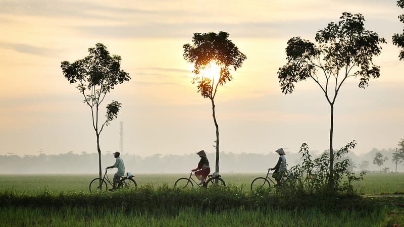 Full day cycling Price $60  per person min 2 pax