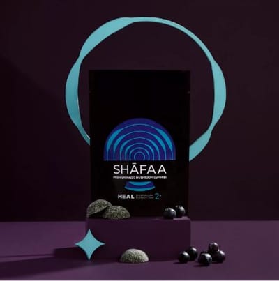 Unveiling the Mystique: Exploring the World of Magic Mushrooms in Toronto