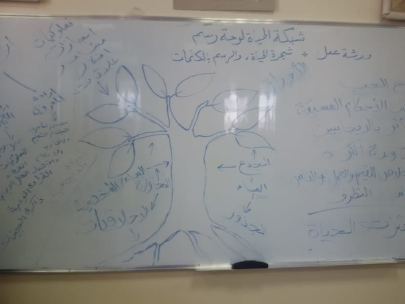 آراء منوعة