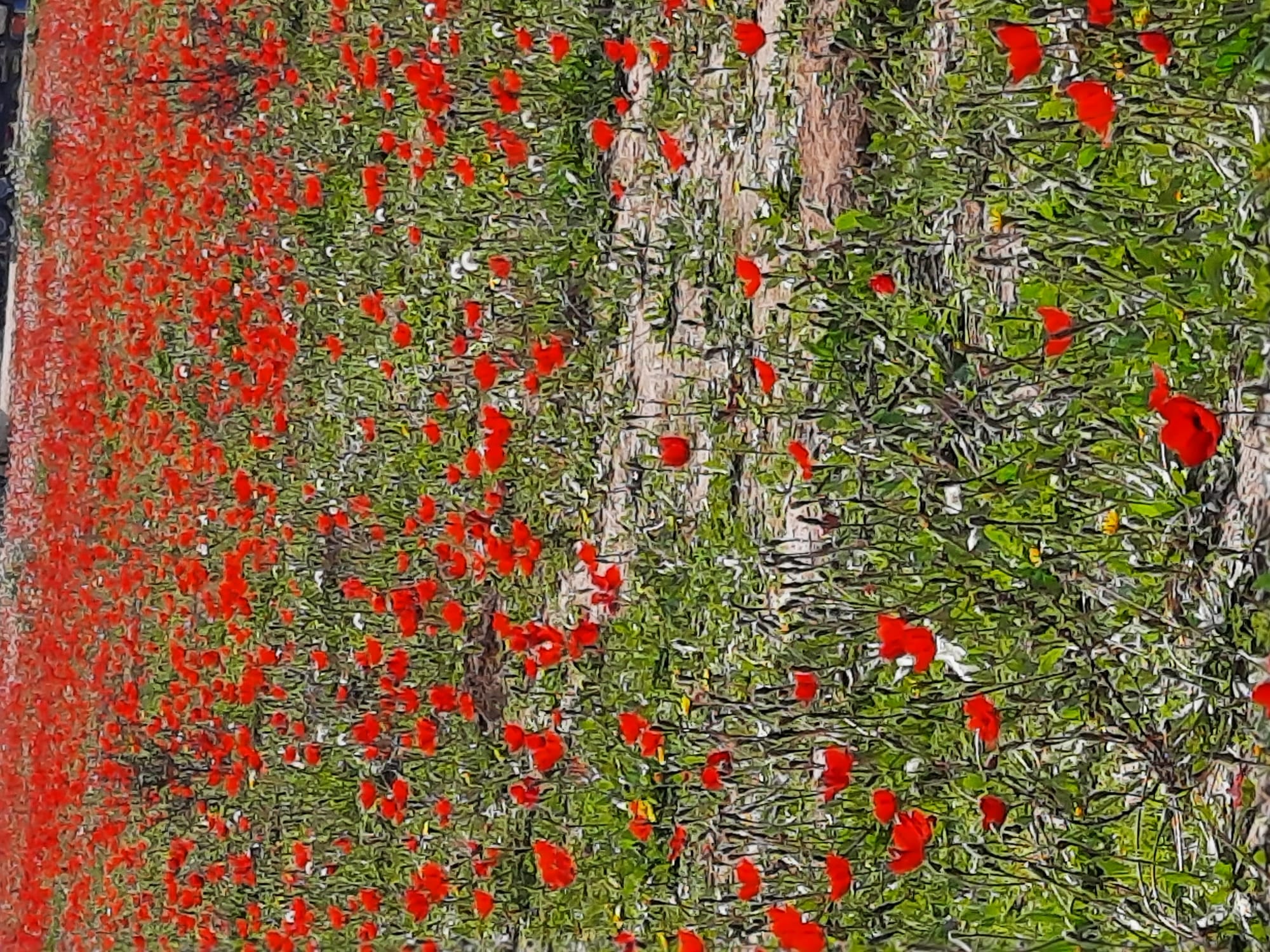 התנגדות לשינוי תקשור עם מטטרון פסח 10 באפריל 2023