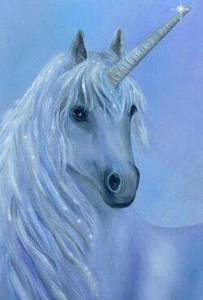 מהו היעוד שלך? ערב שער 12/12