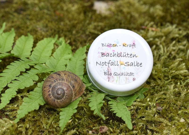 Bachblüten Notfallsalbe