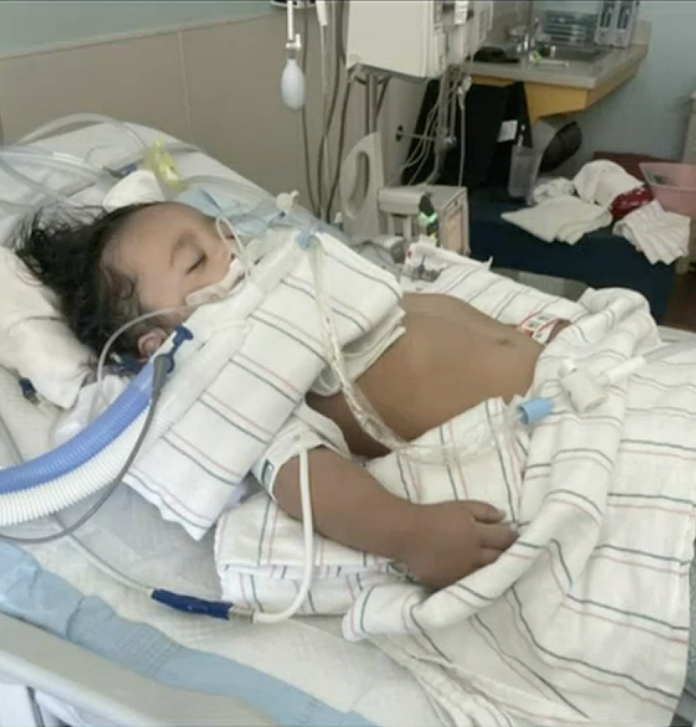 Las Vegas toddler stung by scorpion returns home after weeklong ICU stay