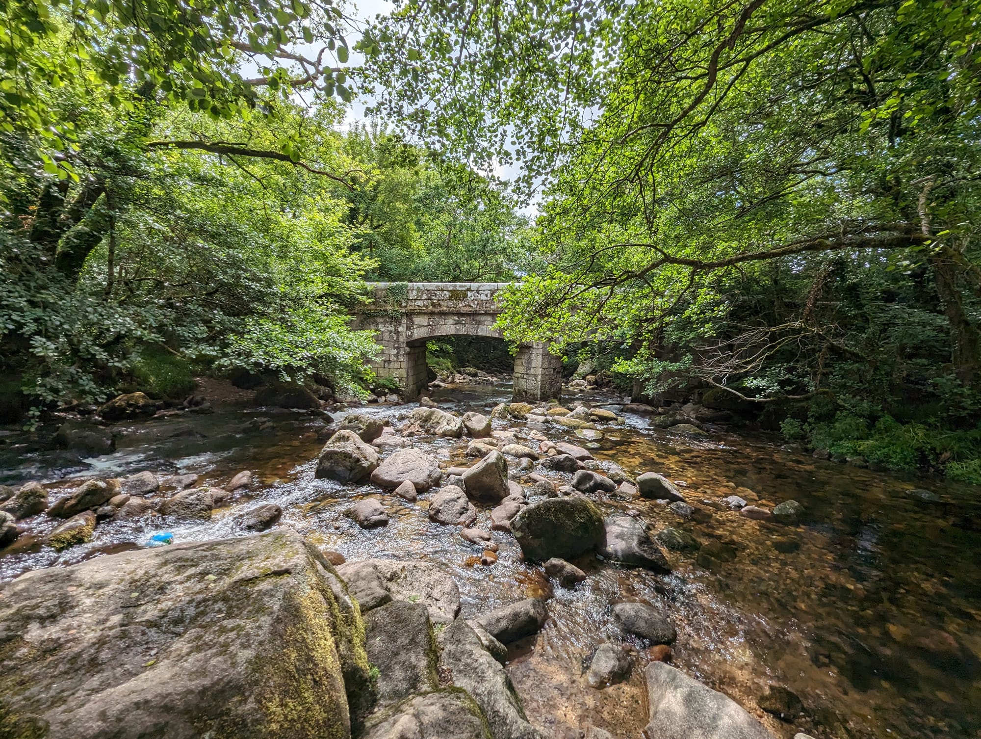 Shaugh Bridge Walk