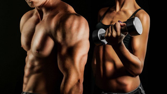 El ABC de la musculación