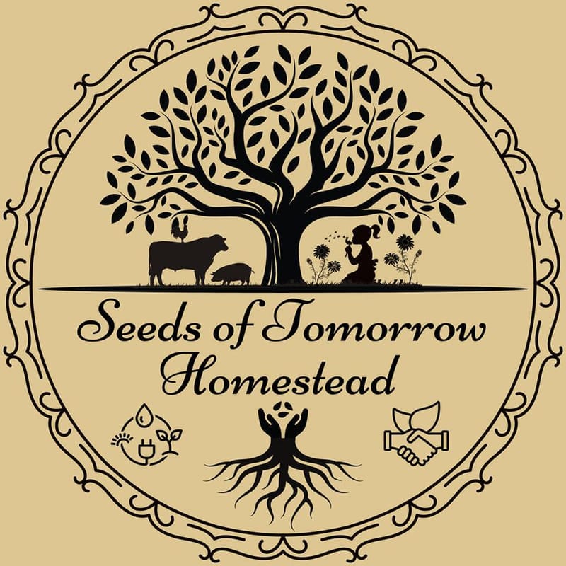 Welcome to our blog!