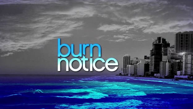 Burn Notice - Duro a morire