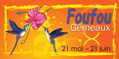 FOUFOU	Correspondant : Gémeaux