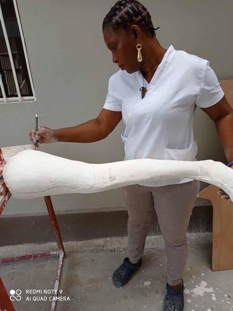 types de pathologies que nous recevons