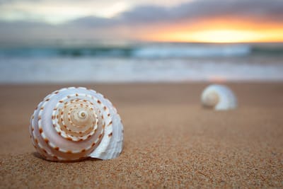 Clairvoyant Readings