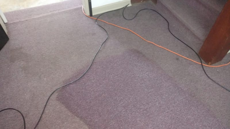 Carpet Cleaning/ Restoration