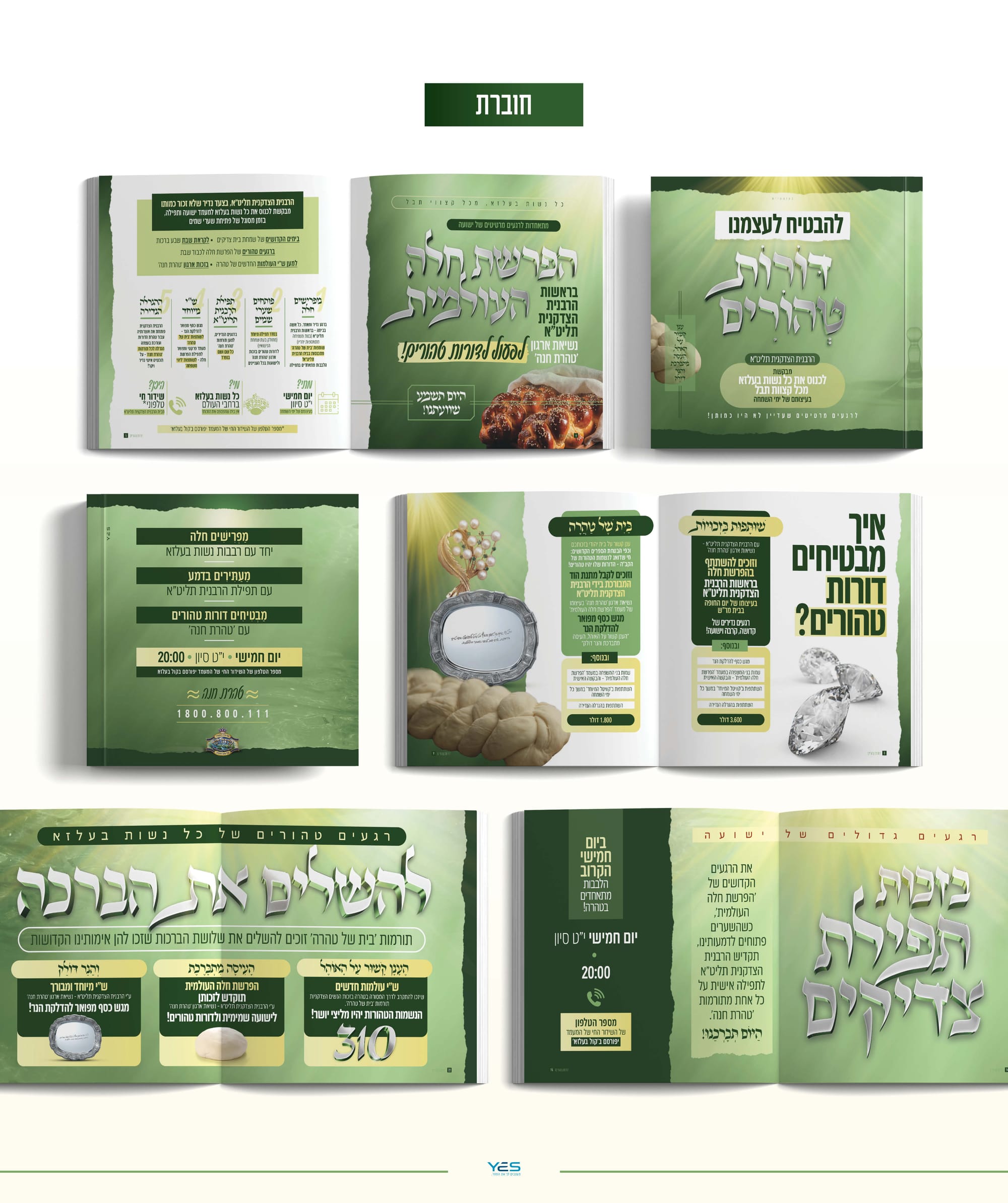 מעמד הפרשת חלה העולמי - בחסידות בעלזא