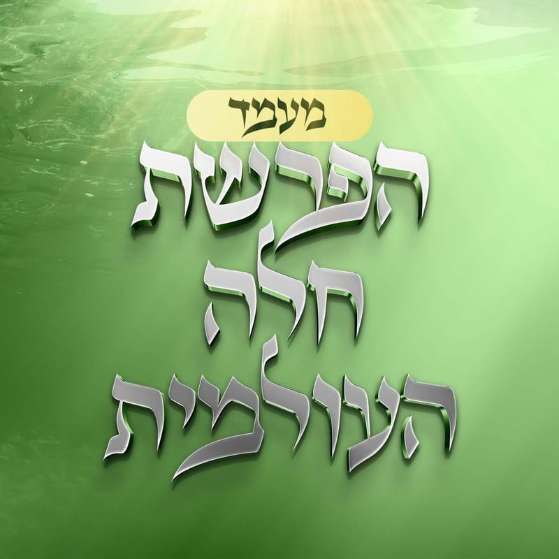 מעמד הפרשת חלה העולמי