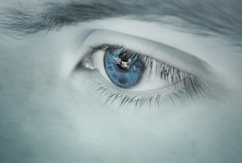 Vision