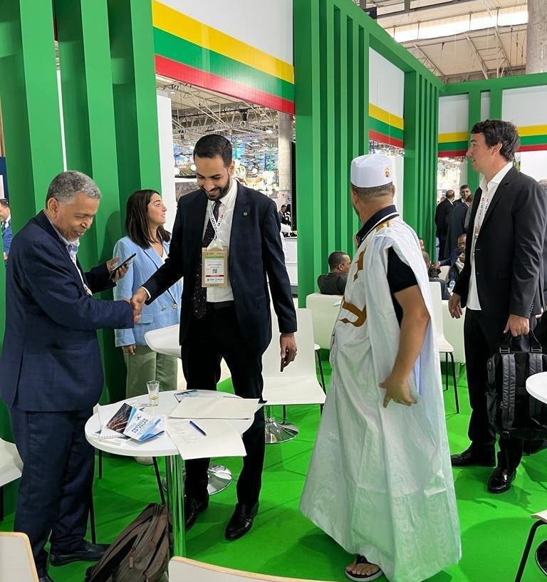 Working with Octopus producers and exporters in Mauritania