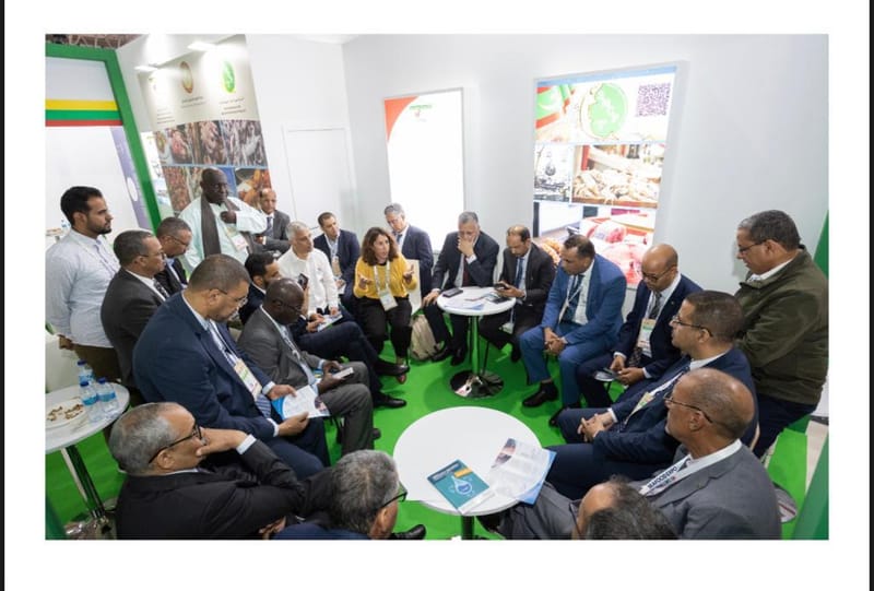 Developping a Fishery Improment Project- Mauritanian Octopus fishery