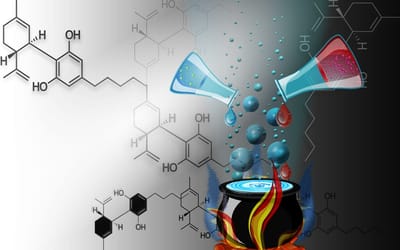 科学の面白さを知ろう