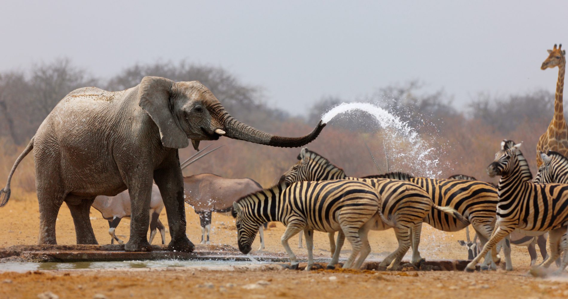 ARUSHA NATIONAL PARK