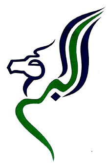 طيران البراق