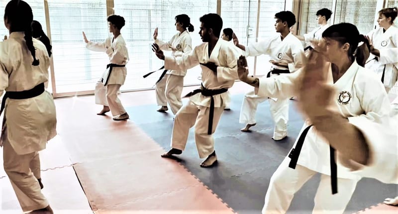 Beneficios del karate para adultos.