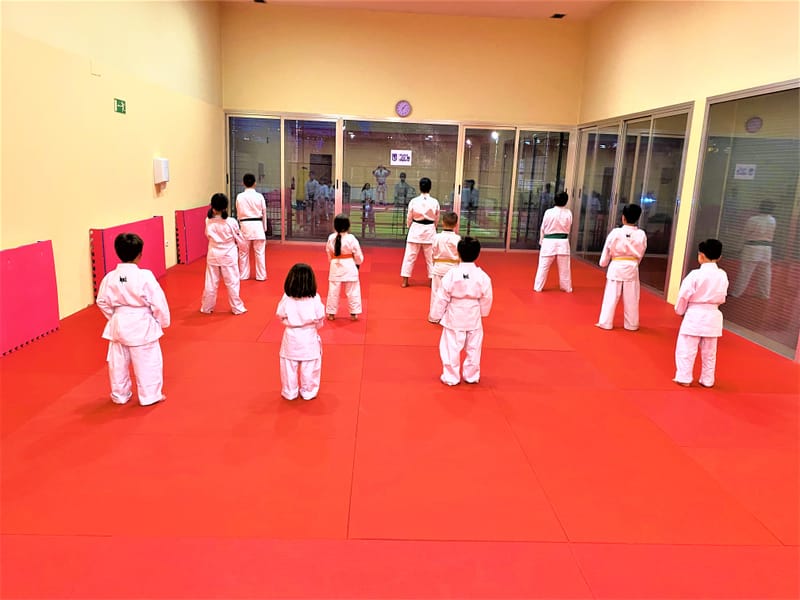 La Importancia de los Primeros Pasos en el Karate: Fundamentos para el Éxito