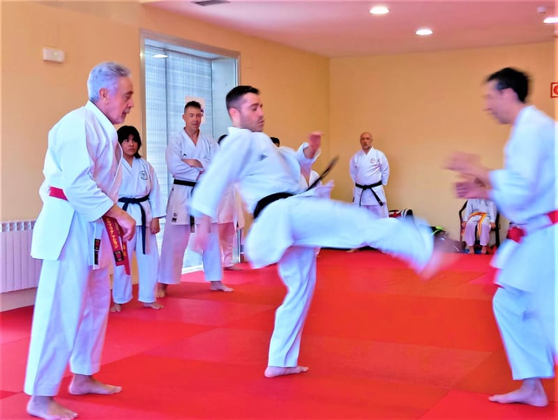 Karate y Defensa Personal: Cómo Mantenerte Seguro en Situaciones de Peligro