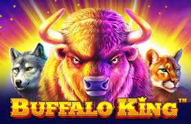 Buffalo King Slot Review - Play, Symbols and Payouts, All Feature and Bonuses