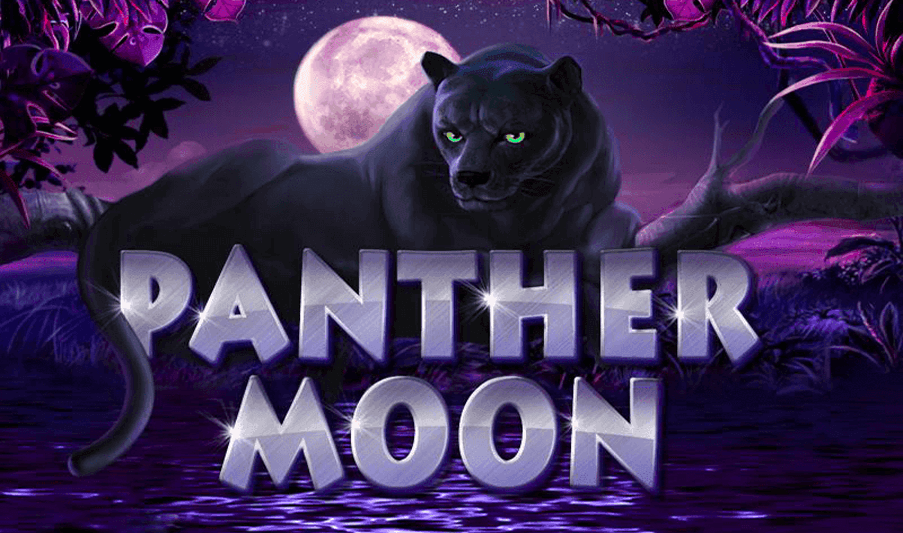 Panther Moon Slot Game: Unraveling the Wild Secrets of a Mesmerizing Adventure