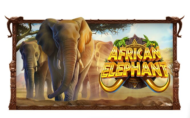 African Elephant Slot Game: Roaming the Savanna with Excitement!