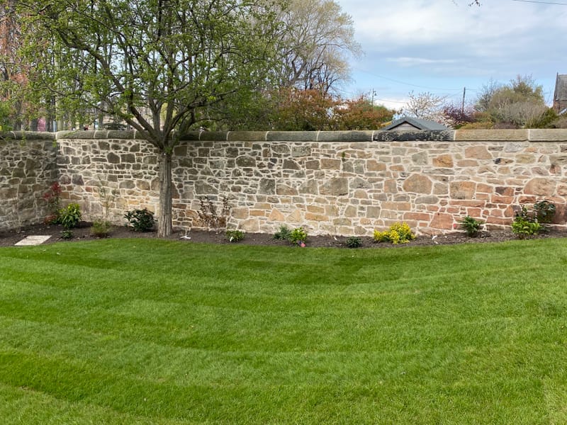 Pointing, repairs &amp; remedial work