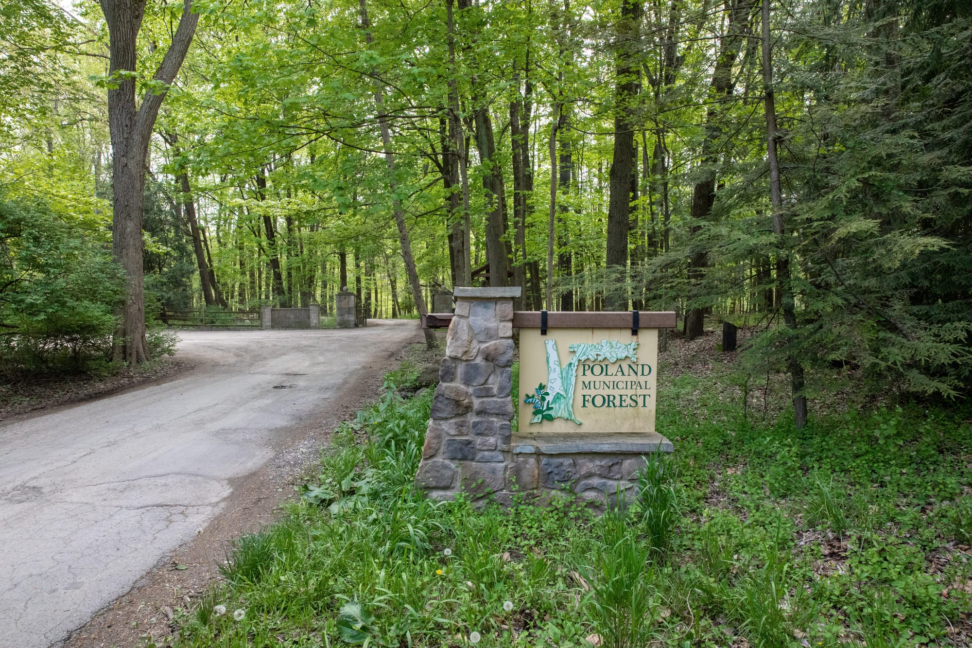 Poland Municipal Forest