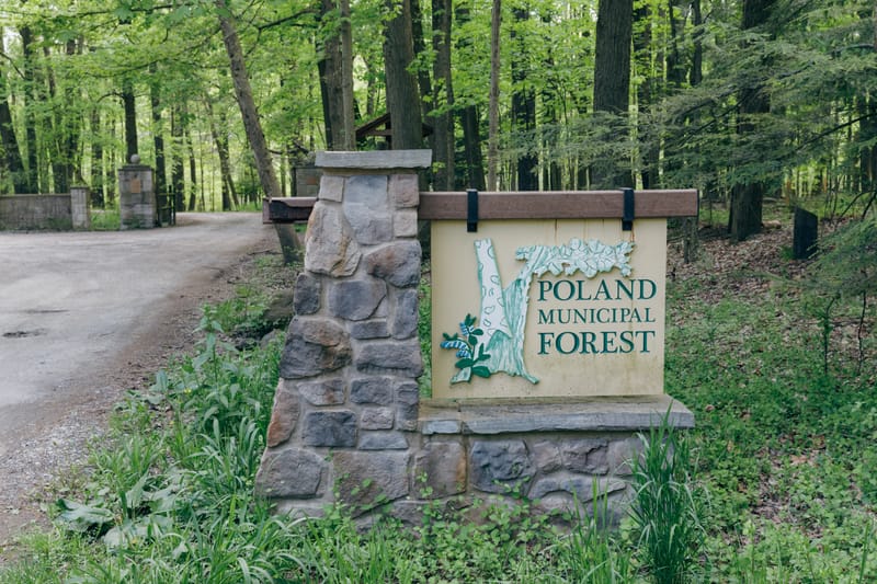 Poland Municipal Forest