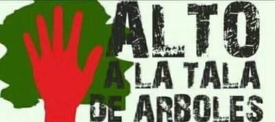 Poner al centro a la gente