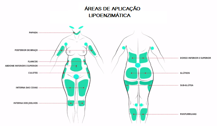 Lipoenzimática corporal