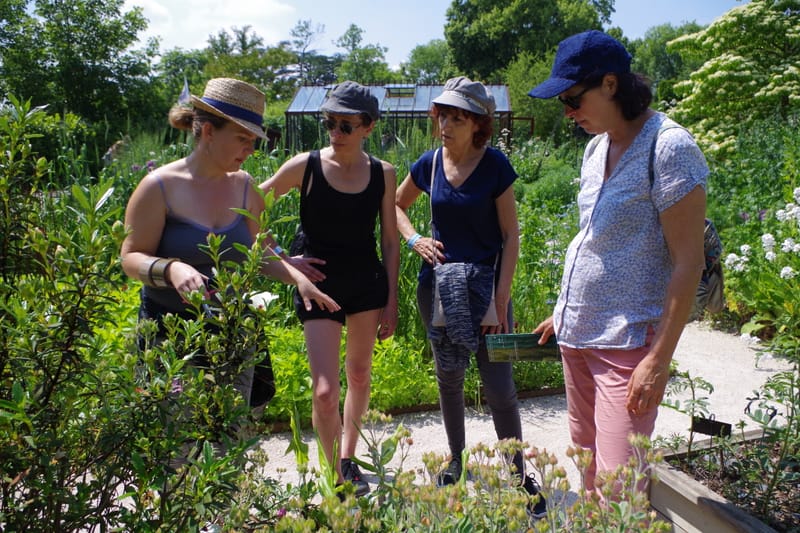 FORMATIONS : JARDIN DE SOIN ET DE SANTE