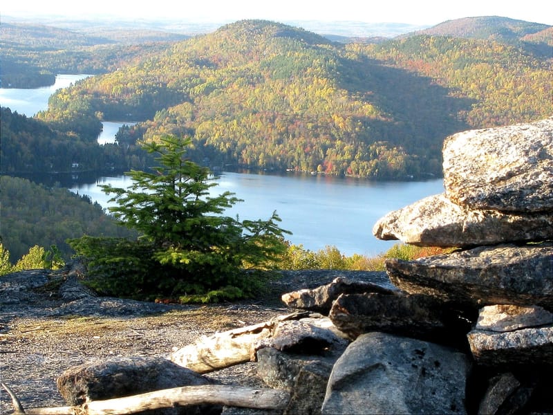 The Lac Tremblant Region wilderness ecosystem