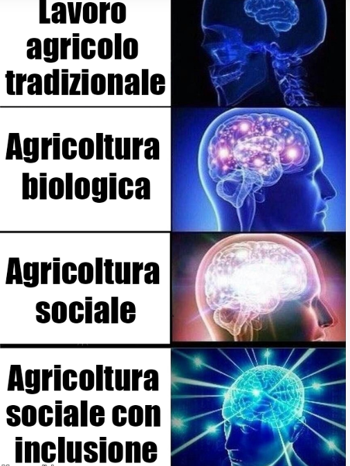 Potenziare l'agricoltura sociale per lo sviluppo della nostra economia locale