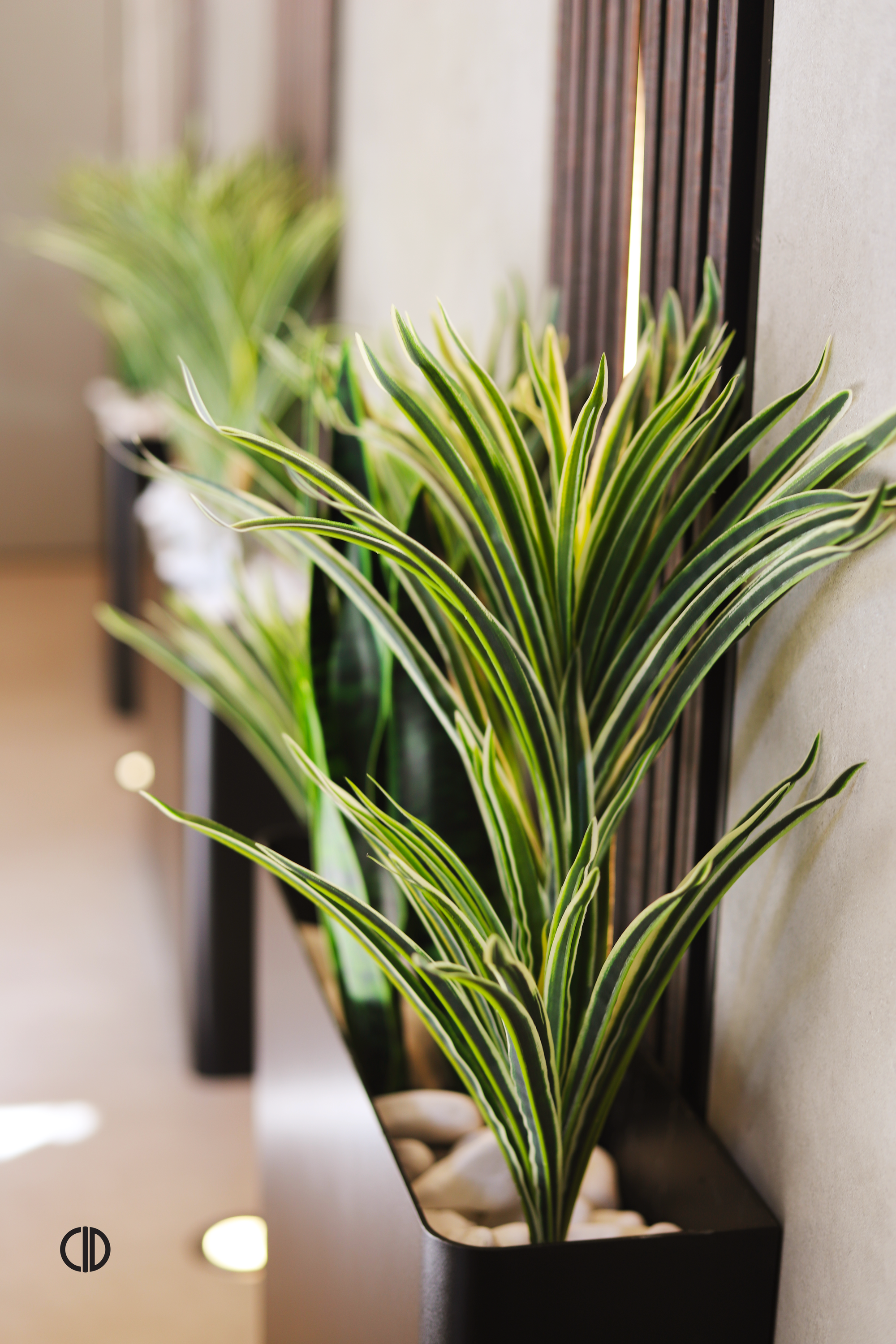 ENTRANCE OF YESHIVAS TORAS CHAIM