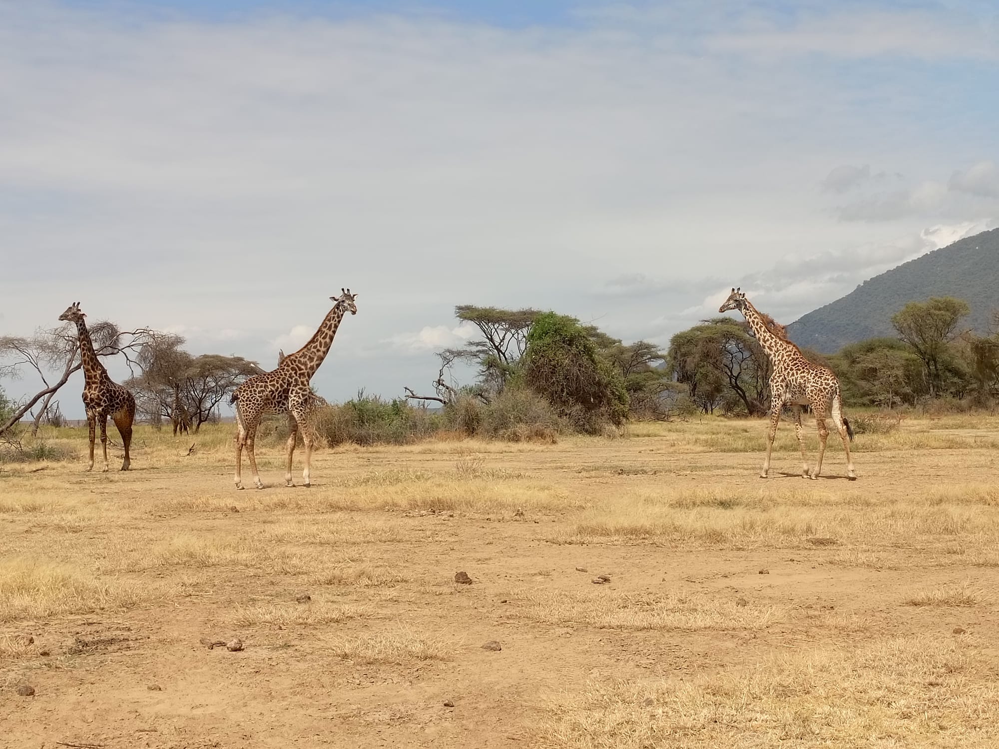 Day Trip Tarangire