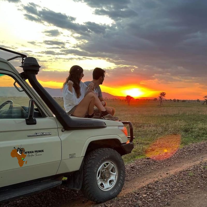 SAFARI LUNE DE MIEL