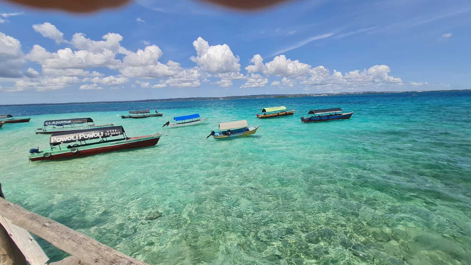 PRISON ISLAND