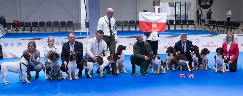 11-14.10.2018r. Europejska Wystawa Psów (PL) European Dog Show