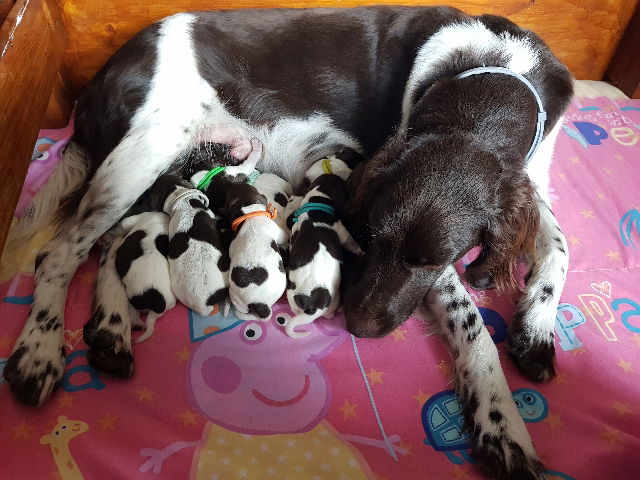 Miot "TOP10" - 03.03.2020r.