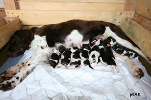 Miot "Z"- 03.06.2014r.