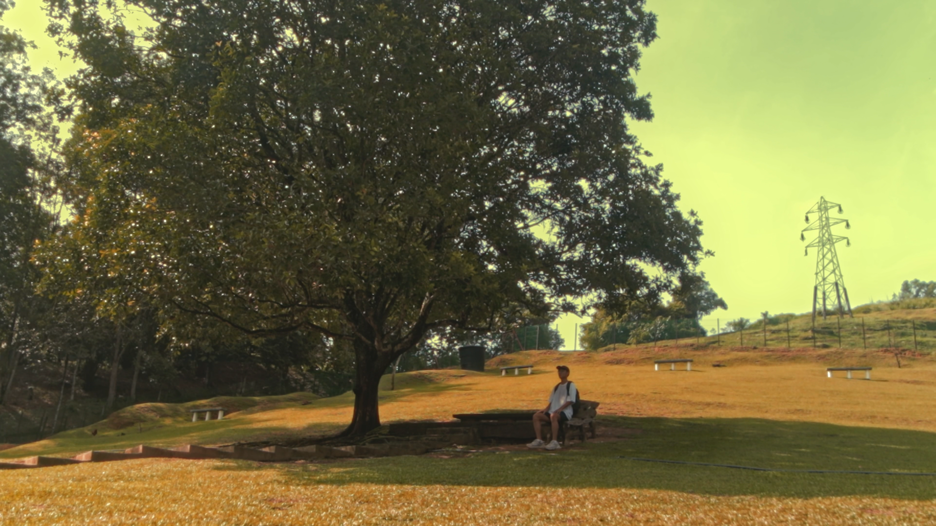 The Andersonian Aesthetic: Unveiling the Wes Anderson Trend.